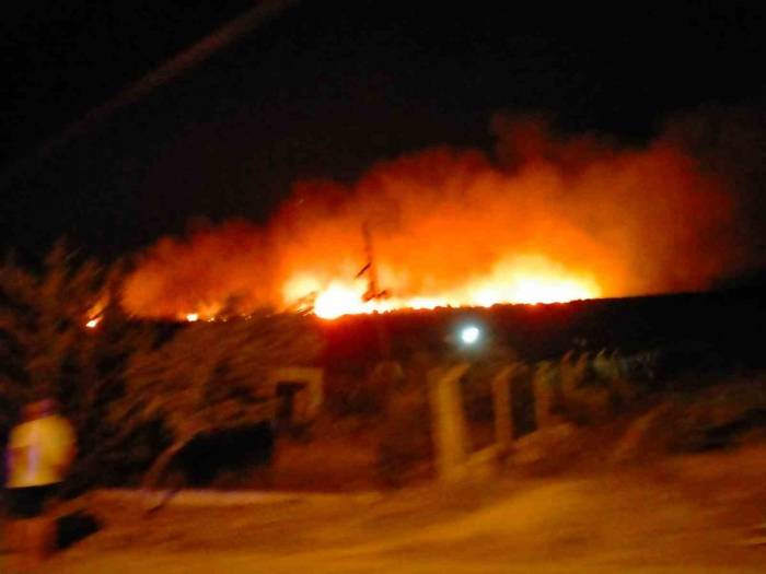 Çeşme’de Çamlık Alanda Yangın