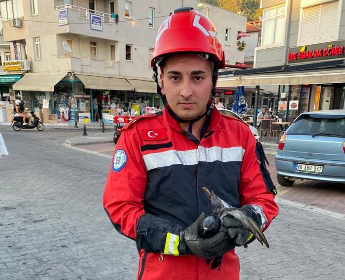 Marmaris’te Kanala Düşen Yaralı Güvercini İtfaiye Ekipleri Kurtardı