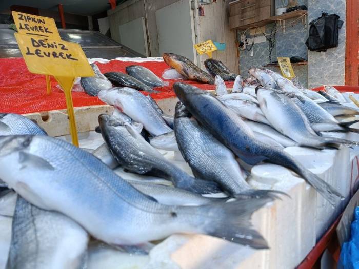 Sıcak Havada Balığa Rağbet Yok