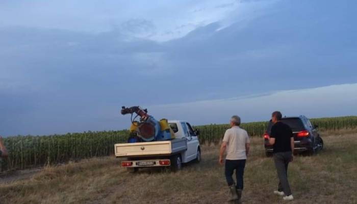 Çekirge İstilası Altındaki 3 Bin Dekar Arazi İlaçlandı