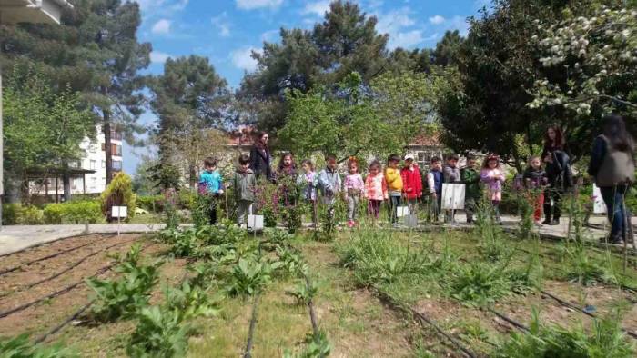 Doğa Eğitim Merkezi Hafta Sonları Da Açık Olacak