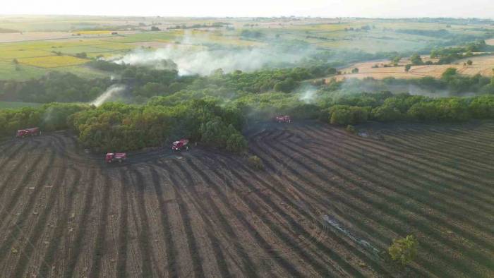 Edirne’deki Orman Yangınının Havadan Görüntüsü Ortaya Çıktı