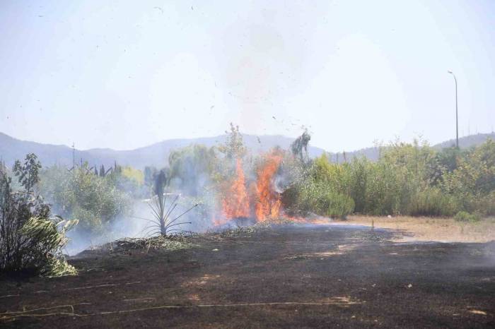 Fethiye’de Otluk Ve Sazlık Alanda Çıkan Yangın Söndürüldü