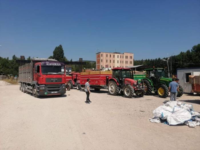 Tmo Gölpazarı’nda Hububat Alımına Başladı