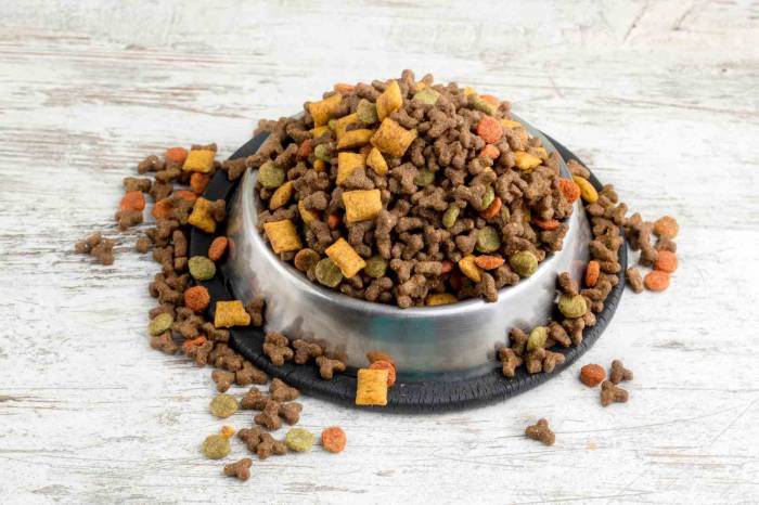 Türkiye’nin Kedi-köpek Maması İhracatında Yüzde 64’lük Artış