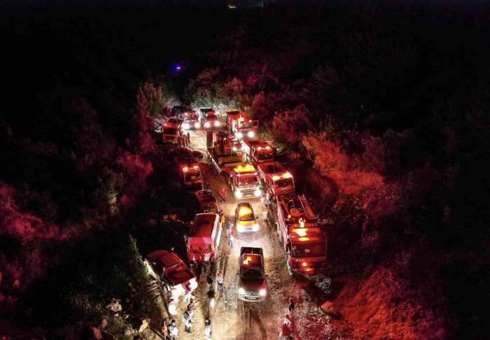 Bilecik’te Aynı Anda 6 Noktada Çıkan Orman Yangınında 1 Hektar Alan Kül Oldu