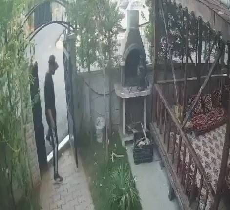 Semaver Çalan Hırsız Kameralara Yansıdı.