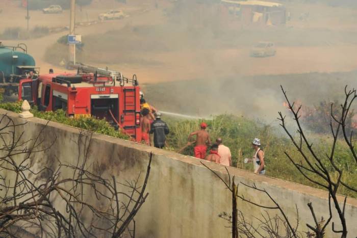 Cezayir’de Orman Yangını: 15 Ölü
