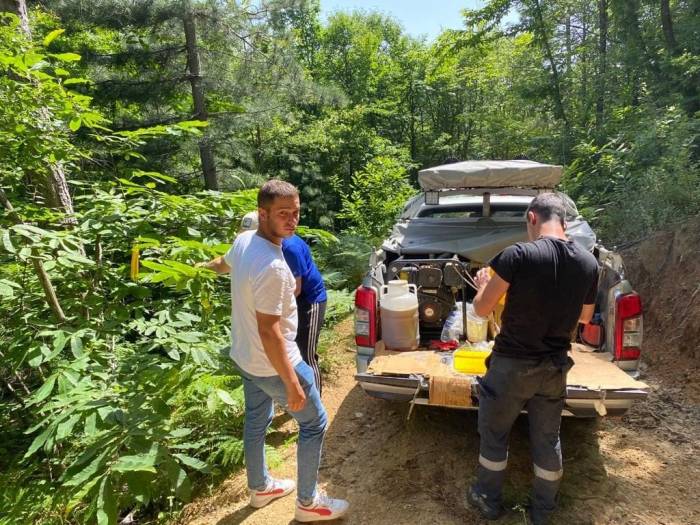 Kestane Ormanlarına Kurulan 4 Bin Yapışkanlı Tuzak İle Gal Arısıyla Mücadele Sürüyor