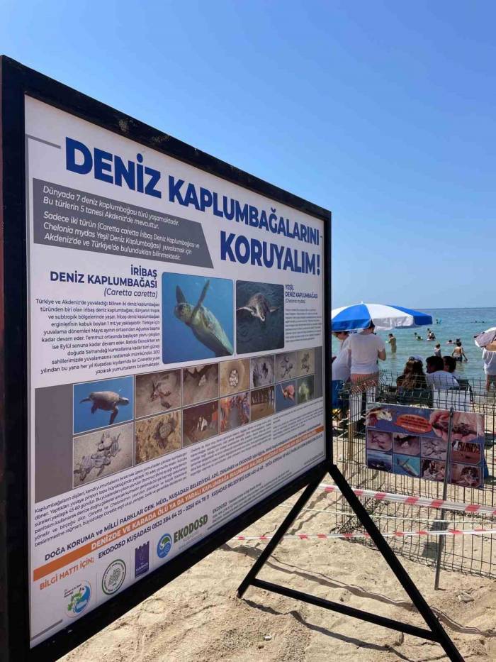 Kuşadası Belediyesi’nden Caretta Caretta Yuvaları İçin Bir Önlem Daha