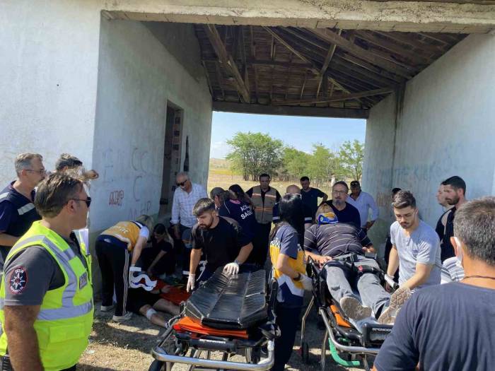 Tekirdağ’da İşçileri Taşıyan Minibüs Elektrik Direğine Çarptı: 7 Yaralı