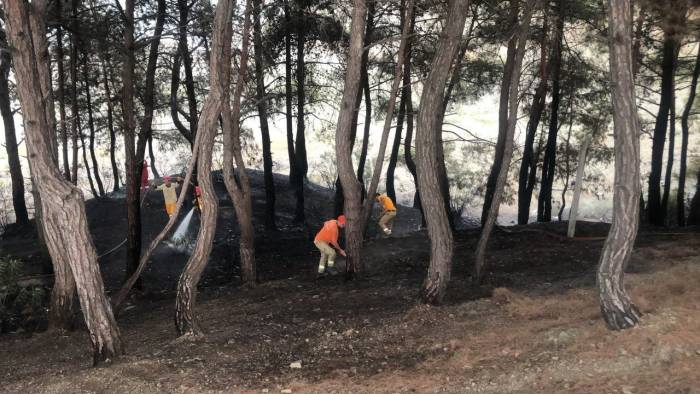Yangın Söndürüldü, Vatandaş Piknikçilere Tepki Gösterdi