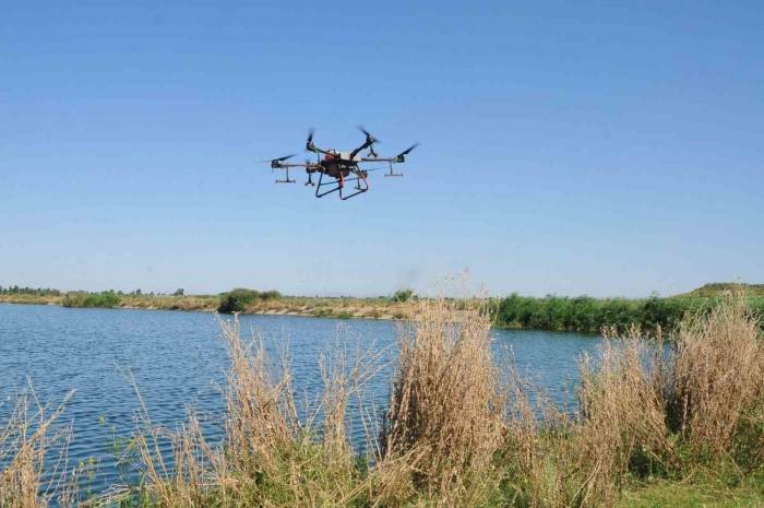 Akşehir’de Kronomid Sineğine Dron İle Mücadele