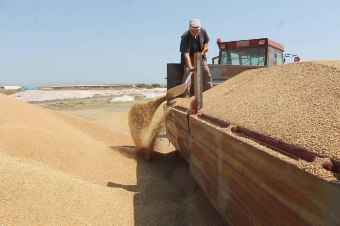 Toprak Mahsulleri Ofisi Çiftçilerin Yüzünü Güldürüyor