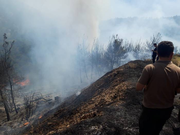 İzmir’deki Orman Yangınlarından Biri Kontrol Altında