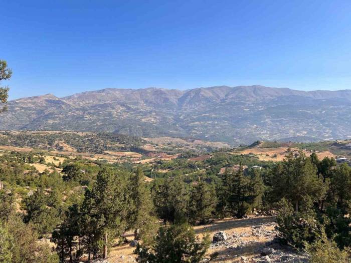 Kahramanmaraş’taki Orman Yangını Söndürüldü
