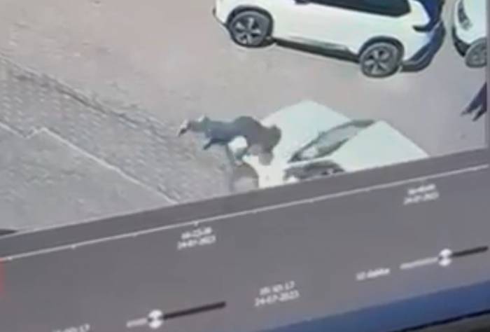 Kadın Sürücü, Karşıya Geçmek İçin Yoldan Duran Yayayı Ezdi, O An İse Kameralara Böyle Yansıdı