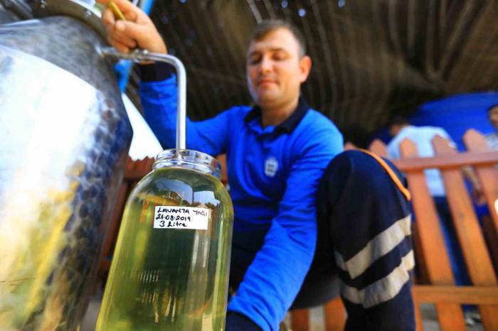 32 Tür Tıbbi-aromatik Bitkinin Distilasyonu Yapıldı