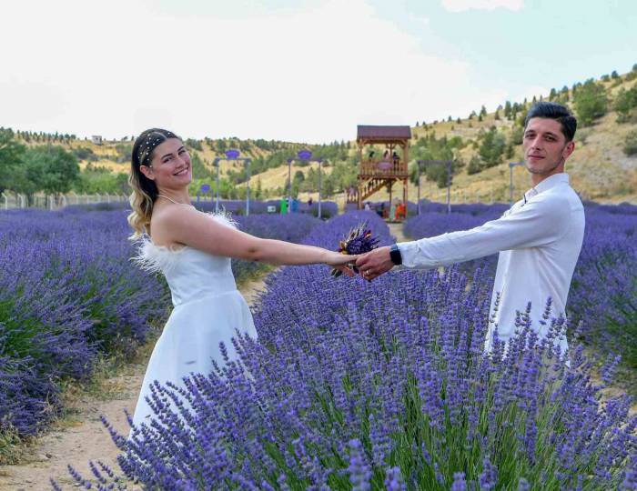 Ankara’nın En Büyük Lavanta Bahçesi Mamak’ta