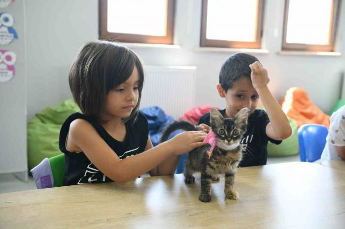 Kahve’nin Yavrularını Bilgi Evleri Sahiplendi