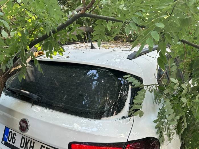 Başkentte Aracın Üstüne Ağaç Devrildi, Vatandaşlar Büyük Panik Yaşadı