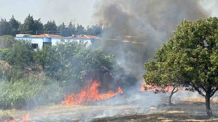 Çorlu’da 600 Dönüm Anız Ve Ağaçlık Alan Cayır Cayır Yandı
