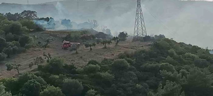 Aliağa’da Makilik Alanda Yangın