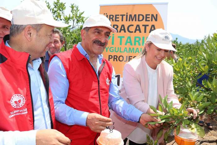 2023 Yılı Narenciye İhracatında Hedef 1 Milyar Doları Aşmak