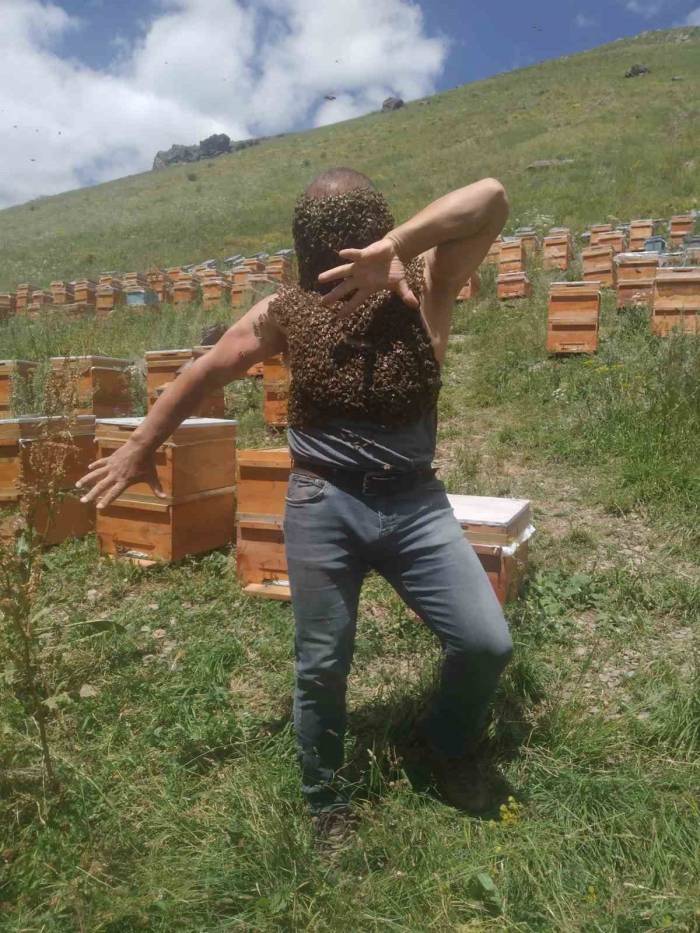 Karslı Arıcıdan ‘yok Artık’ Dedirten Görüntüler