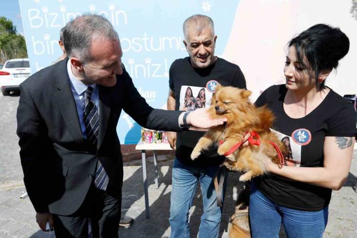 İnegöl Belediyesi 6 Ayda 2 Bin 700 Hayvana Şifa Oldu