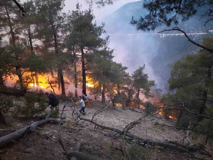 Bolu’da Ormana Düşen Yıldırım Yangın Çıkardı