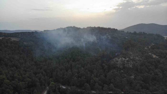 Çanakkale’deki Orman Yangınına Günün İlk Işıklarıyla Hava Müdahalesi Başladı
