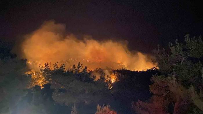 Çanakkale’de Orman Yangını
