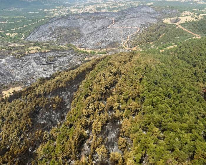 Kütahya’da Yanan Ormanlık Alanlar Havadan Görüntülendi