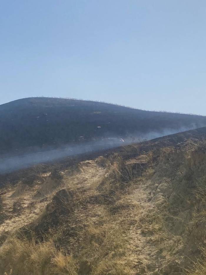 Manisa’da Otluk Alanda Yangın: 1 Kişi Dumandan Etkilendi