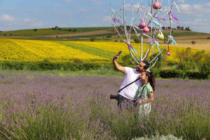 Doğaya Aykırı Rengiyle Fotoğrafseverlerin Uğrak Noktası Oluyor