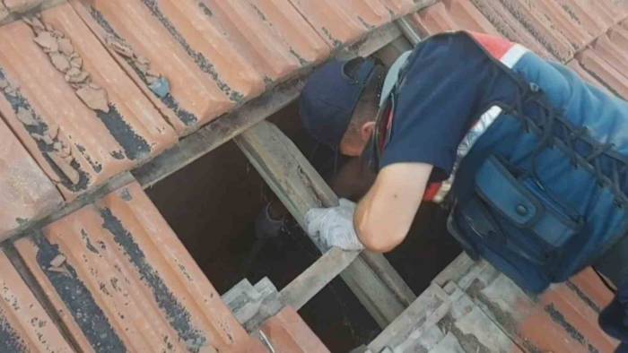 Kiremit Altındaki Gizli Bölmede Esrar Ve Kenevir Çıktı
