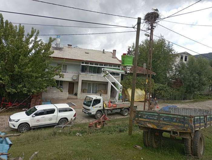 Ayaklarına Alçı Bandajı Dolanan Leylek Kurtarıldı