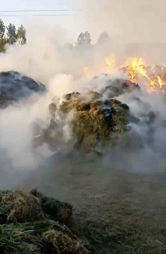 Yüksekova’da Çıkan Yangında 20 Bin Bağ Ot Kül Oldu