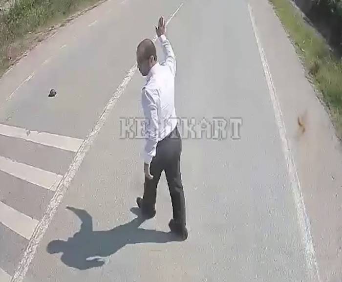 Kaplumbağanın Ezilmemesi İçin Araçları Durduran Şoför Hareketiyle Takdir Topladı