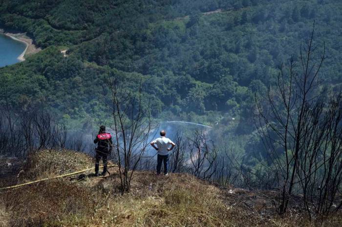 Sultangazi’de Ormanlık Alanda Çıkan Yangın Kontrol Altına Alındı