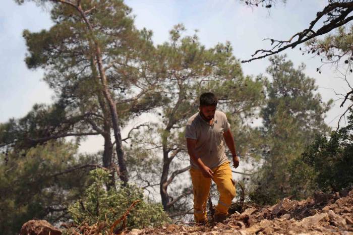Bolu’daki Orman Yangınına Müdahale Devam Ediyor