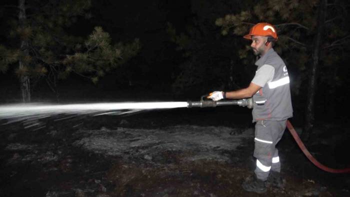 Kırıkkale’de Orman Yangını
