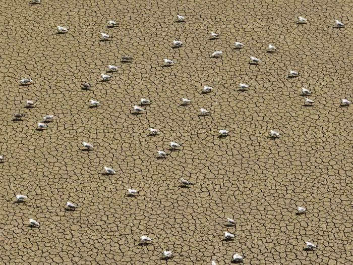 Sıcak Havanın Etkisini Sürdürdüğü İstanbul’daki Barajlarda Son Durum