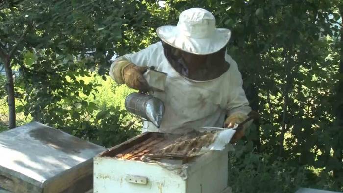 Bal Üretiminde Dünyada İkinci Sıradayız