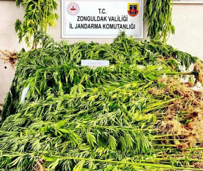Jandarmadan Uyuşturucu Operasyonu; 1 Tutuklu