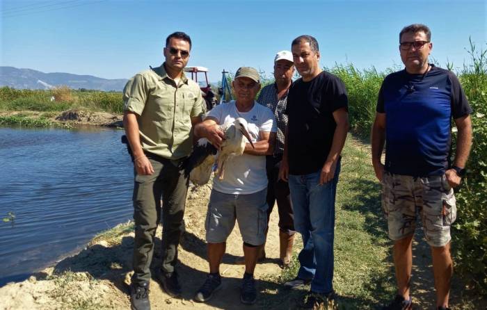 Zifte Bulanan Leylek Kurtarıldı