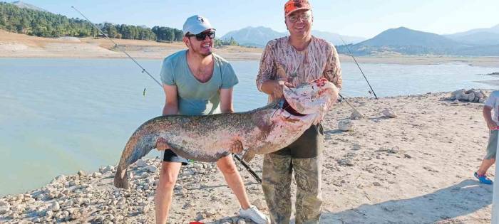Sazan Beklerken Oltaya 2 Metrelik Yayın Balığı Takıldı