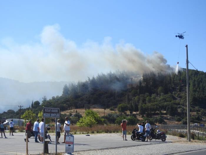 Çanakkale’de Orman Yangını Kontrol Altına Alındı