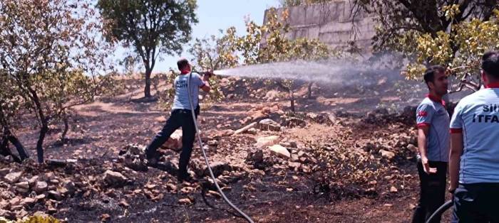 Siirt’te Çiftçinin Onca Yıllık Emeği Küle Döndü